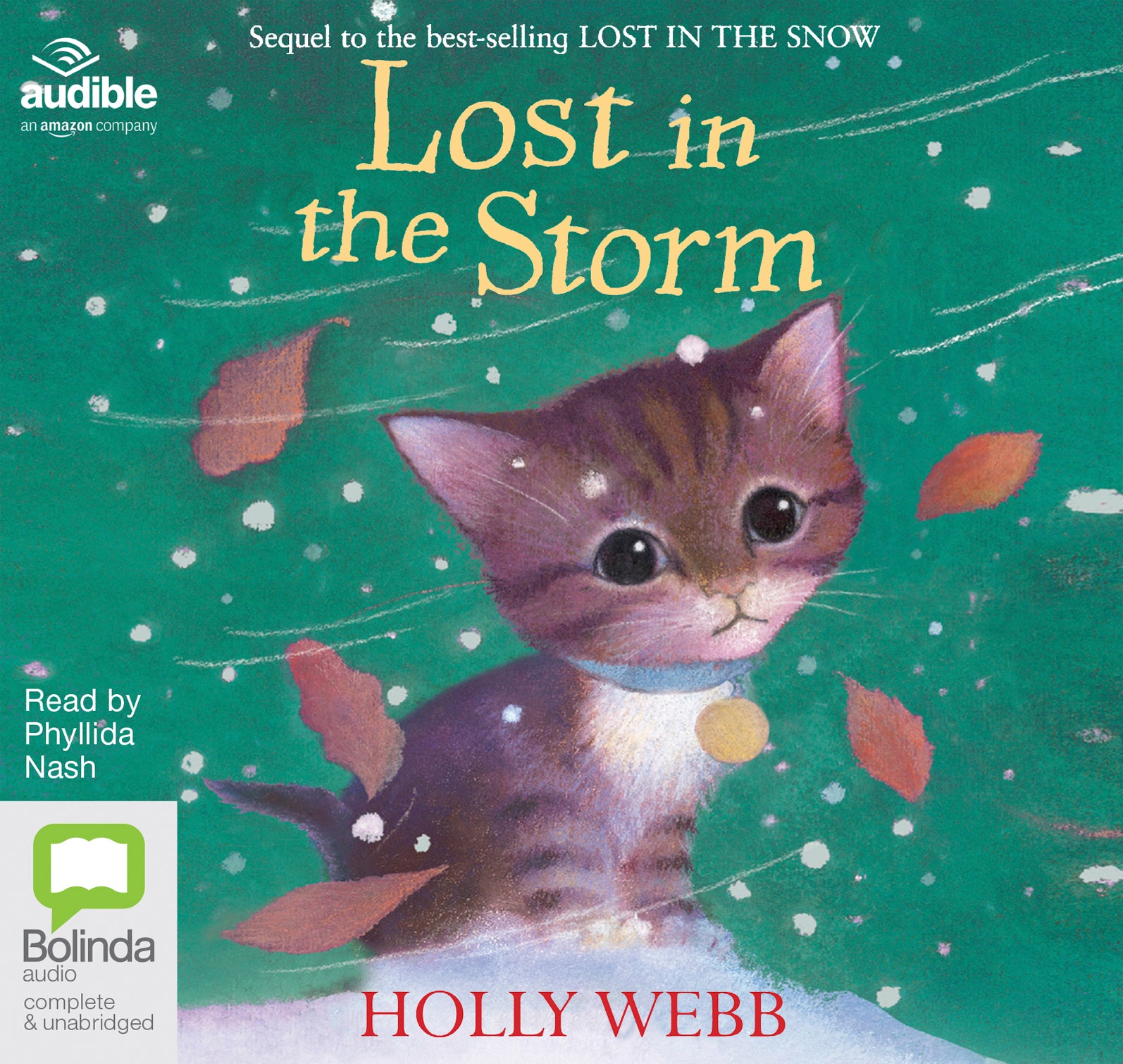 Lost In The Storm - Unbridged Audio Book on CD