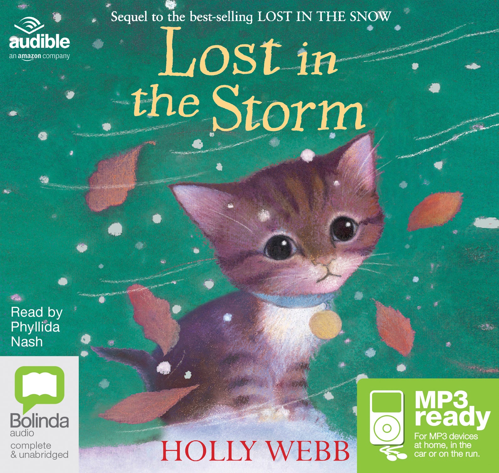 Lost In The Storm  - Unbridged Audio Book on MP3