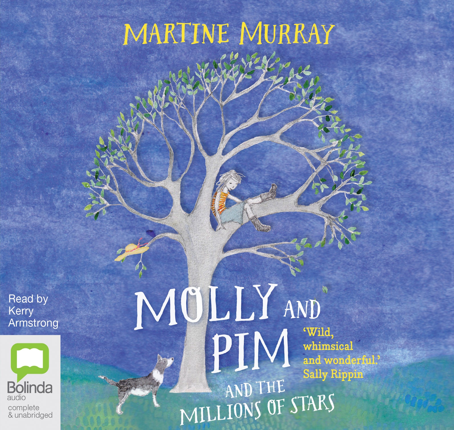 Molly And Pim And The Millions Of Stars - Unbridged Audio Book on CD