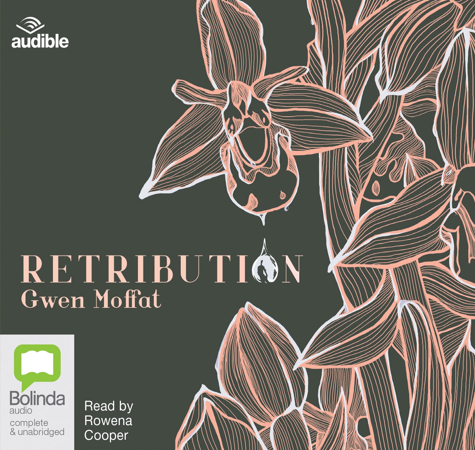 Retribution - Unbridged Audio Book on CD