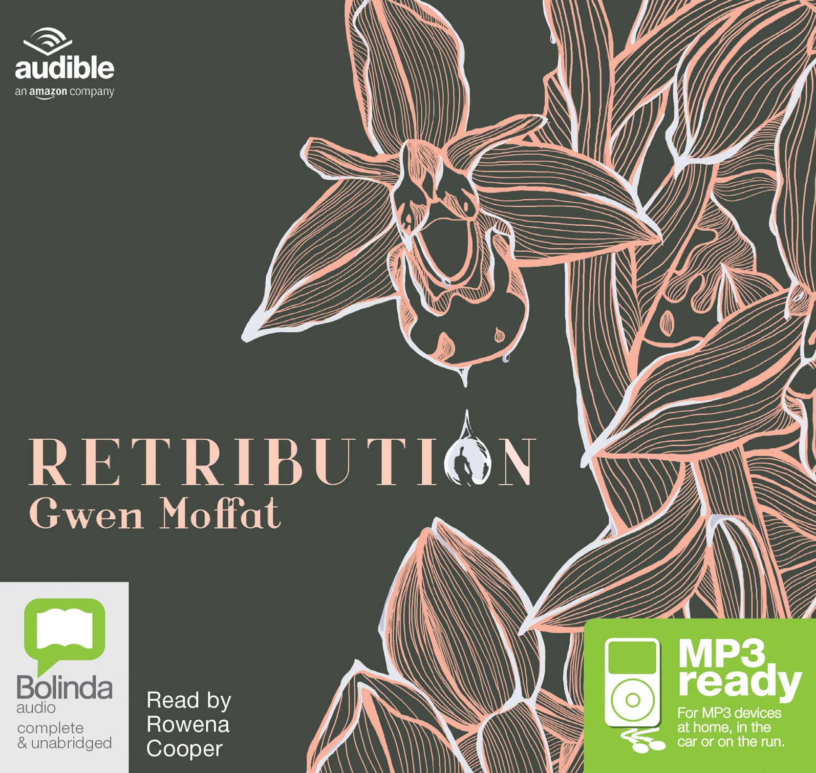 Retribution  - Unbridged Audio Book on MP3