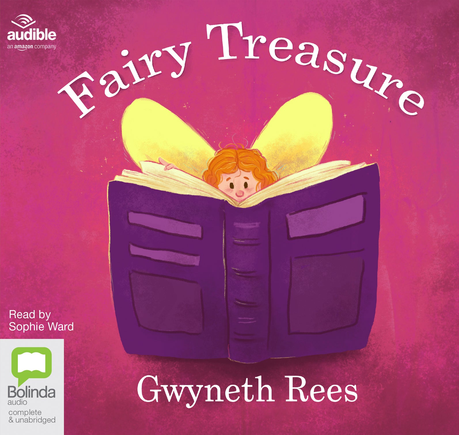 Fairy Treasure - Unbridged Audio Book on CD