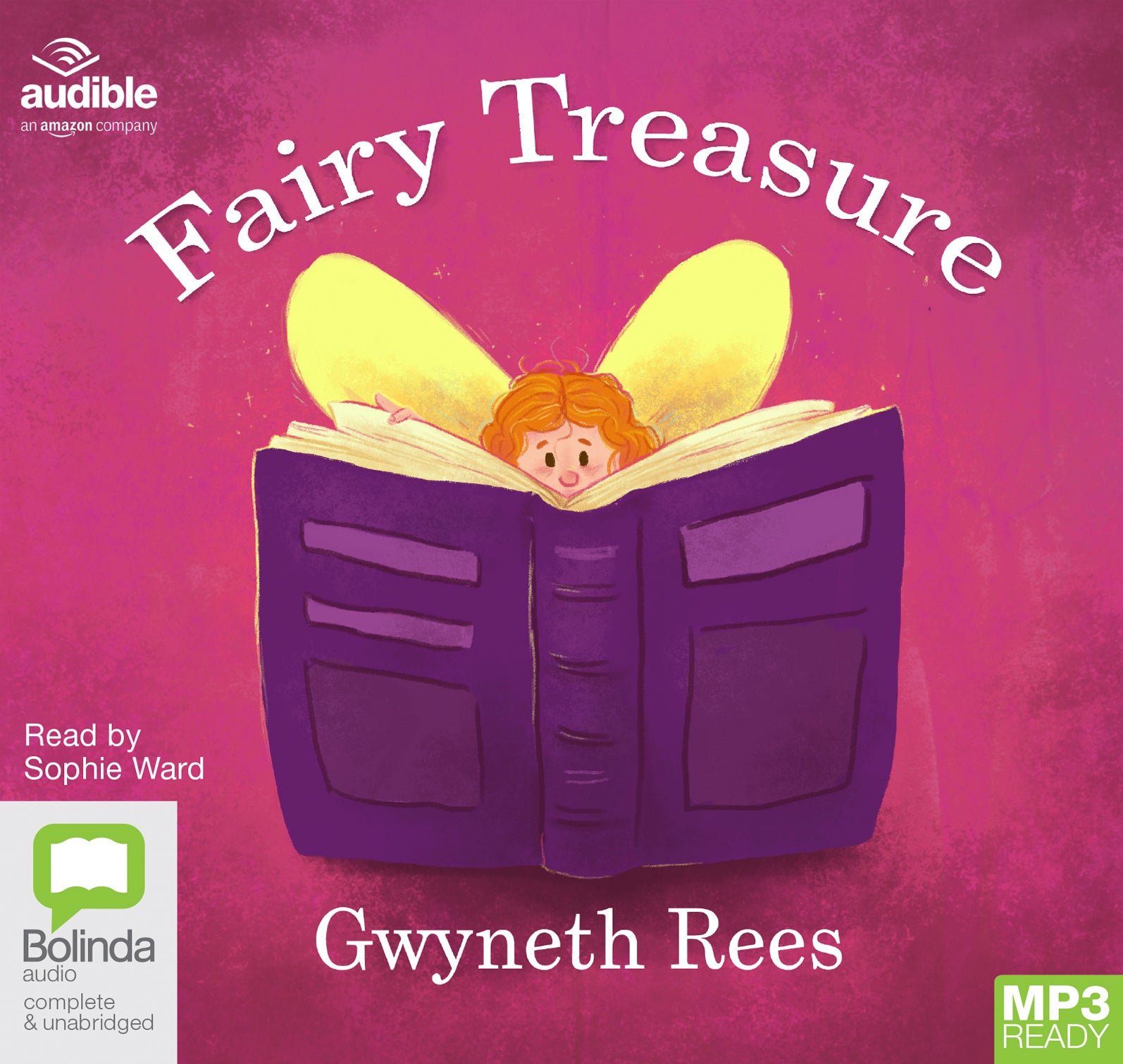 Fairy Treasure  - Unbridged Audio Book on MP3