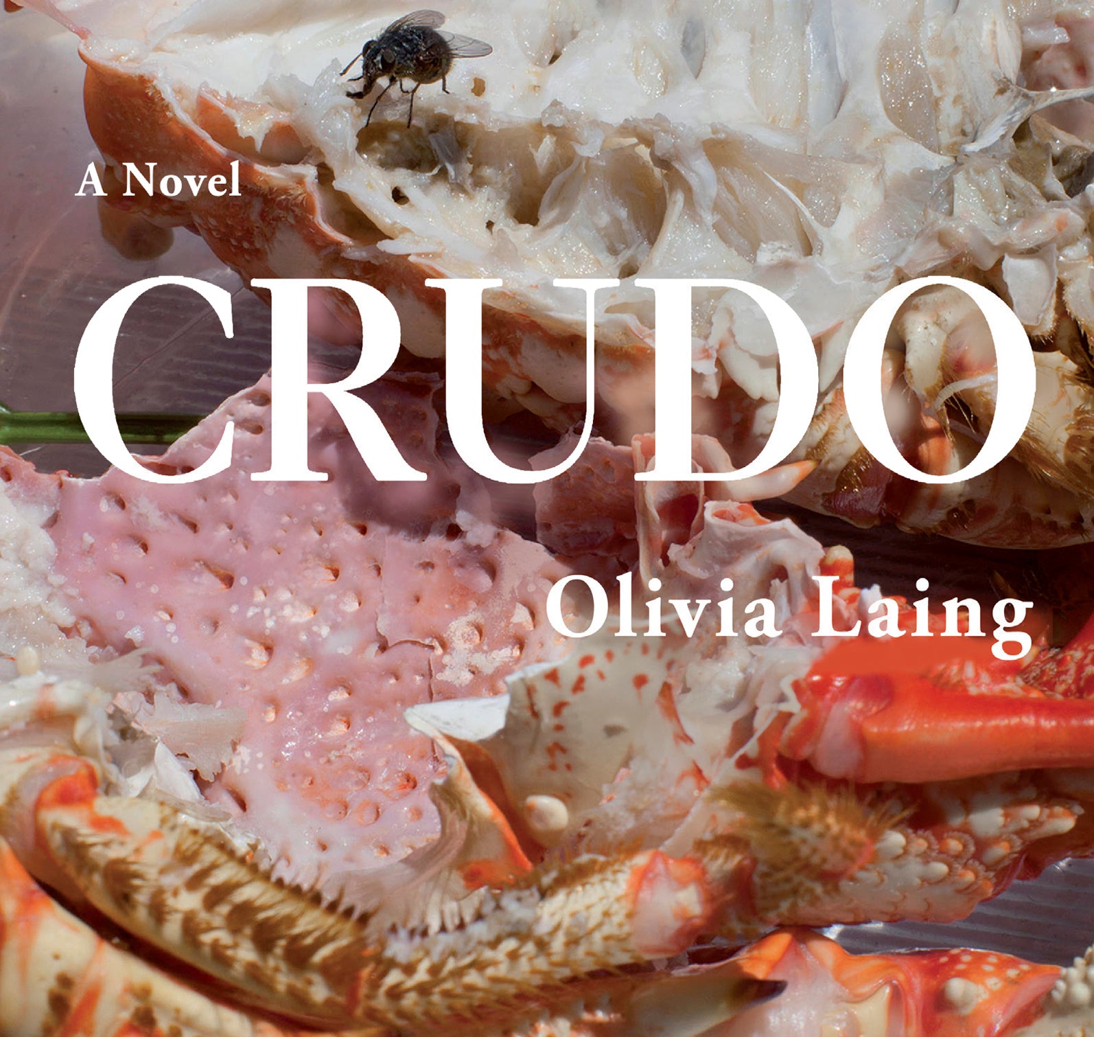 Crudo - Unbridged Audio Book on CD