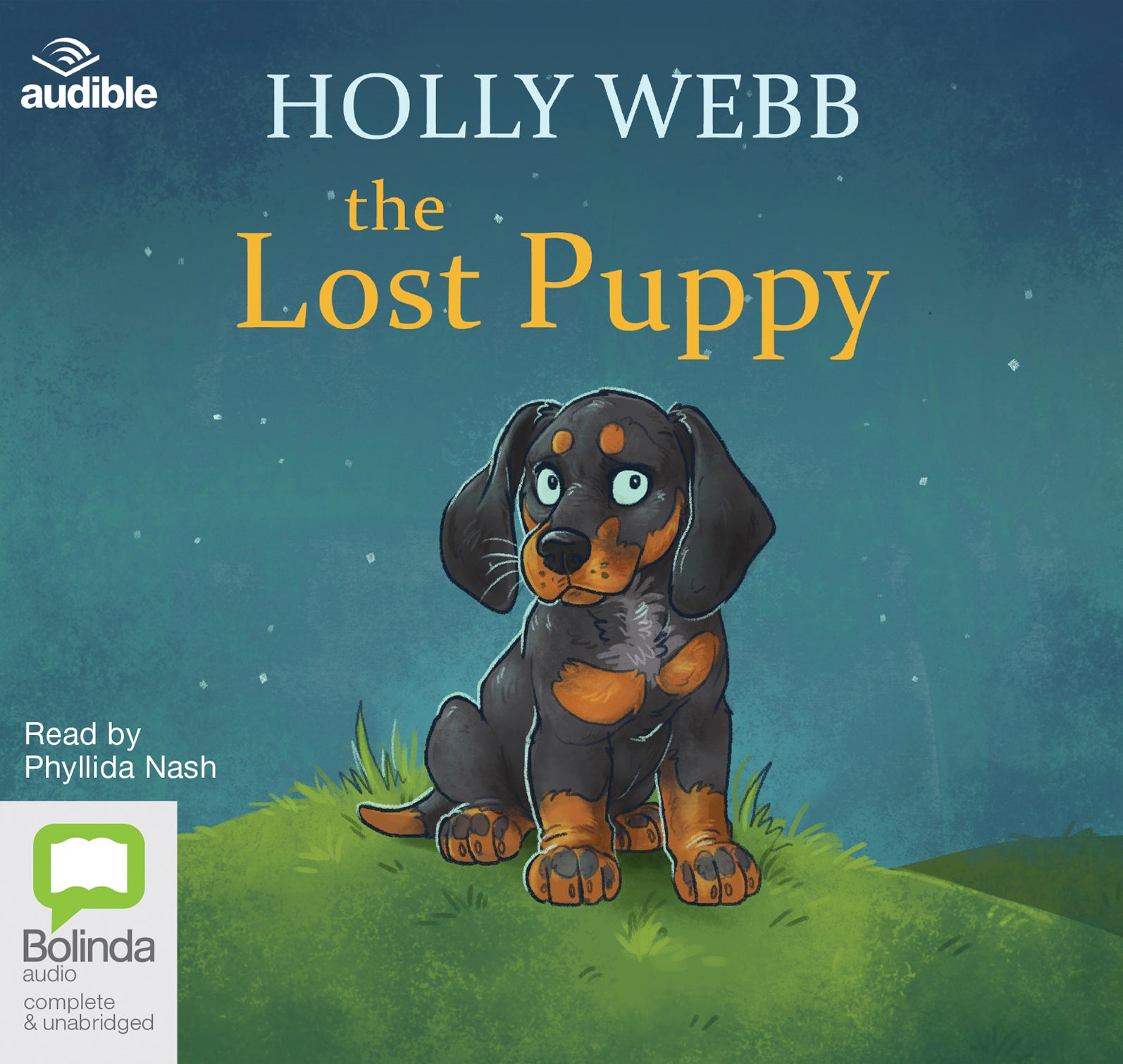 The Lost Puppy - Unbridged Audio Book on CD