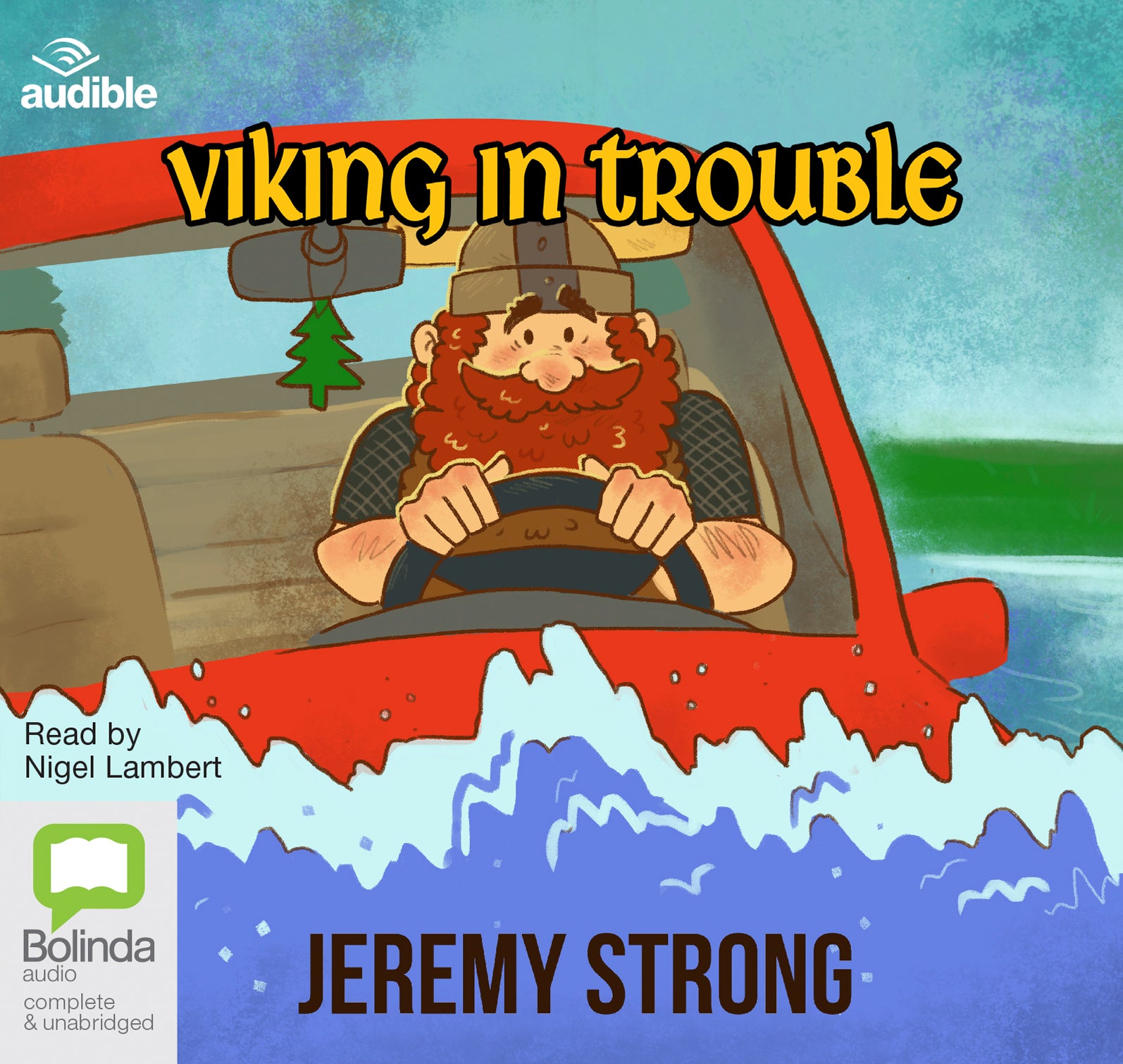 Viking In Trouble - Unbridged Audio Book on CD