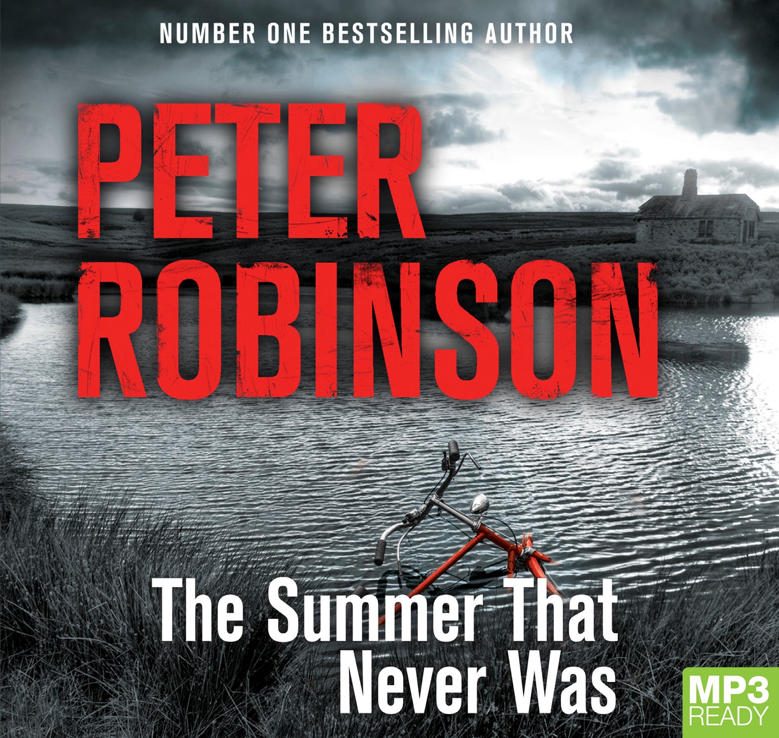 The Summer That Never Was  - Unbridged Audio Book on MP3