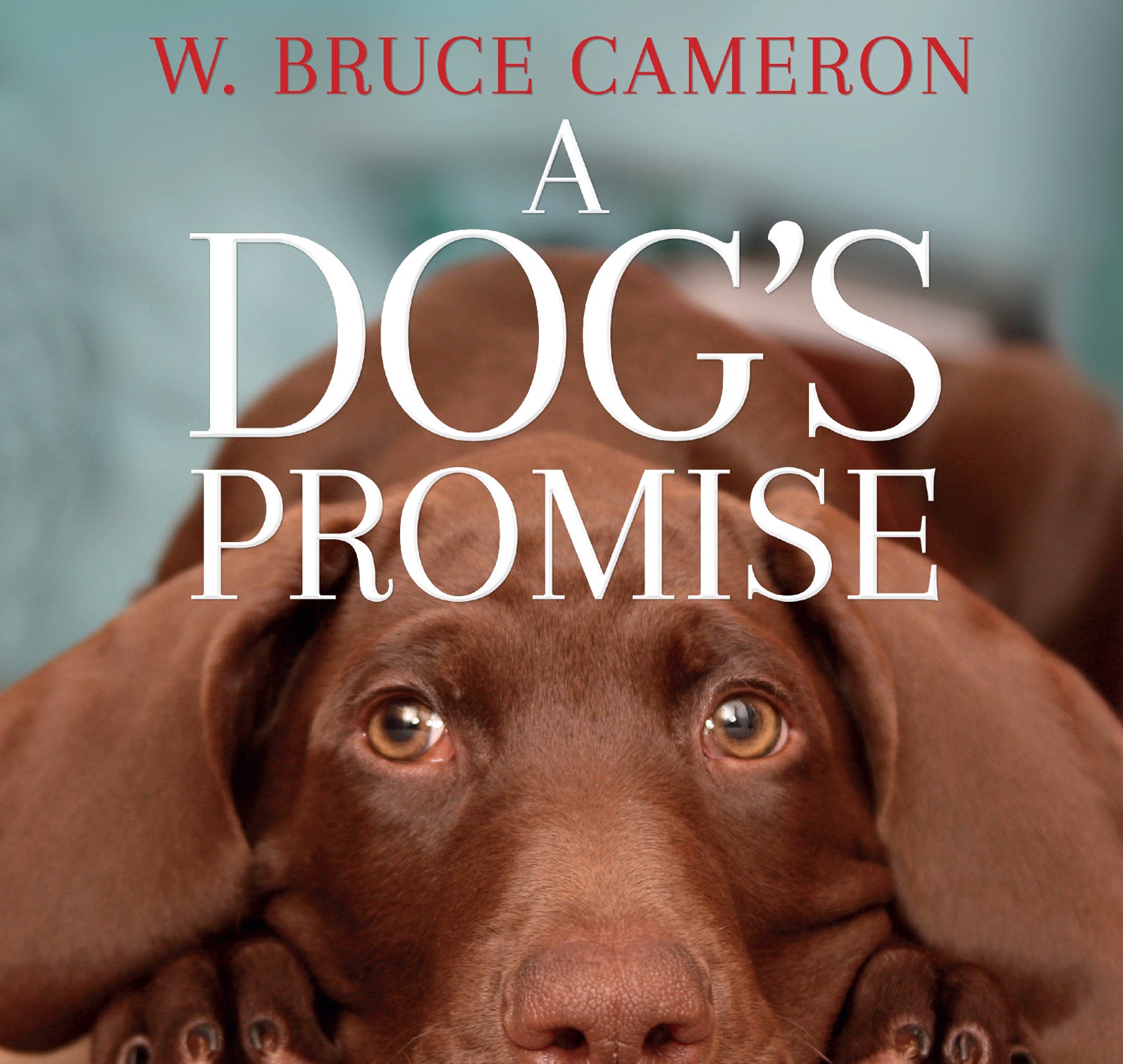 A Dog's Promise - Unbridged Audio Book on CD