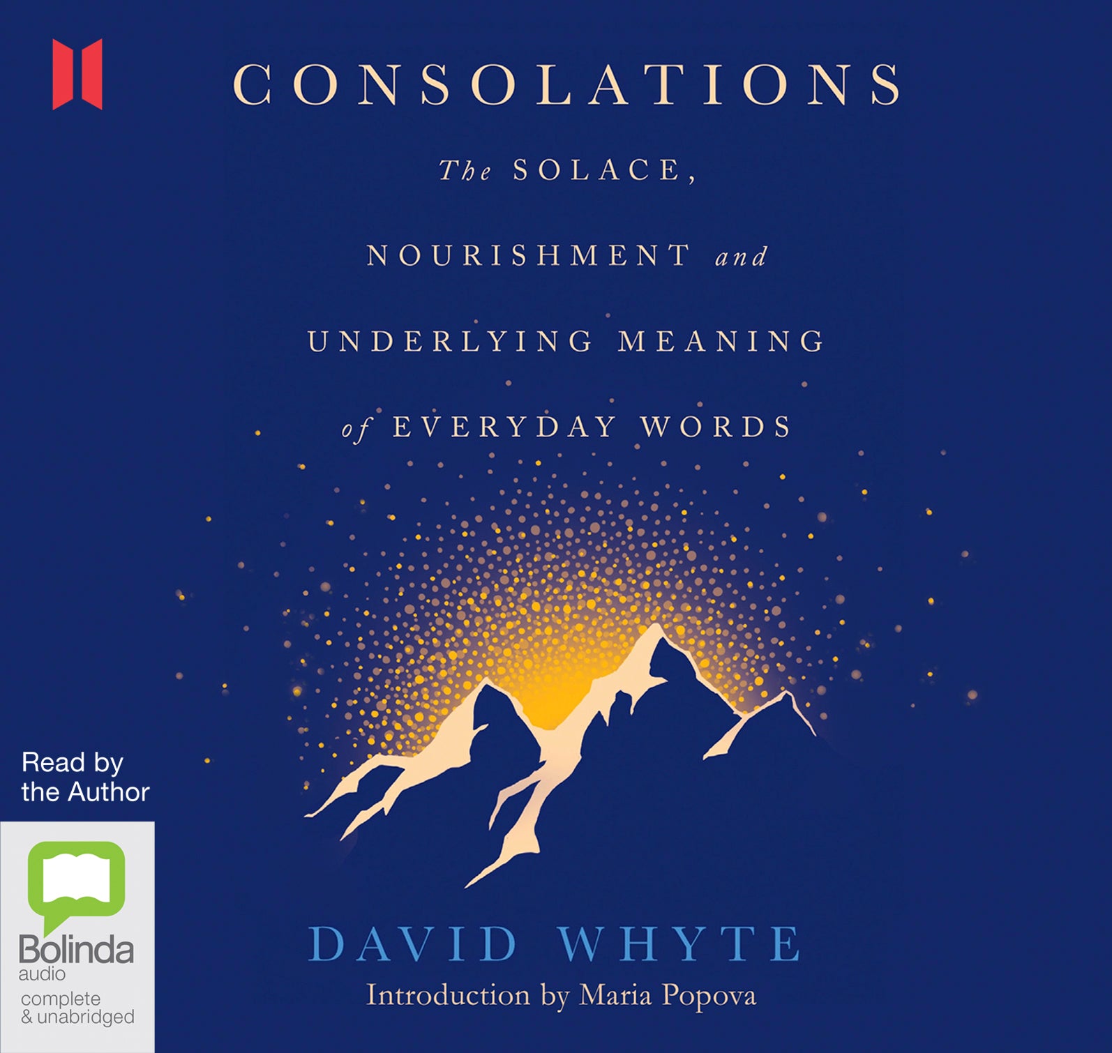 Consolations - Unbridged Audio Book on CD