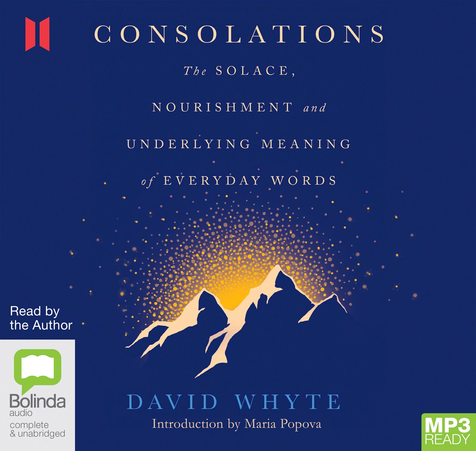 Consolations  - Unbridged Audio Book on MP3