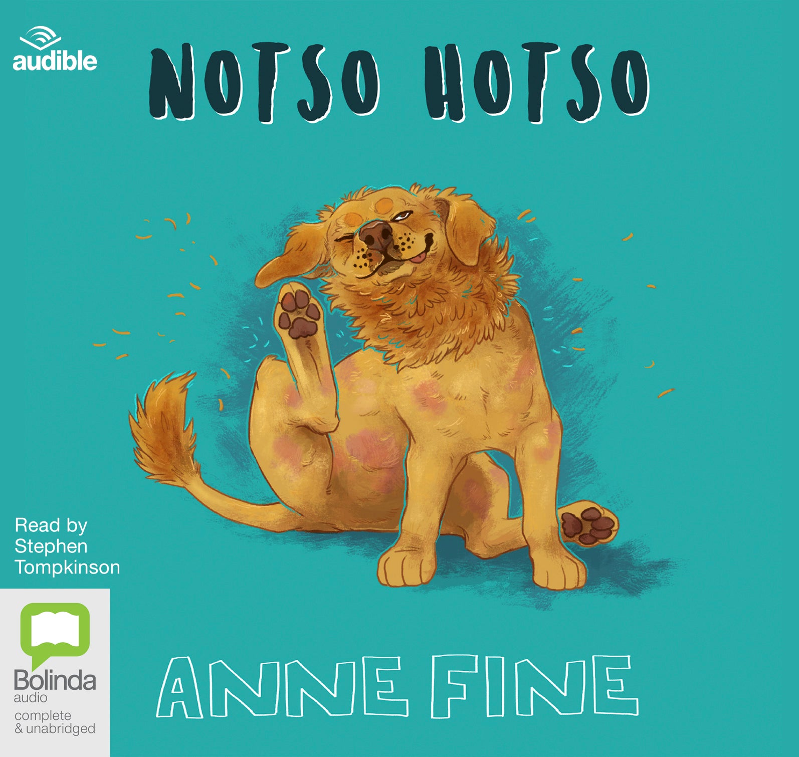 Notso Hotso - Unbridged Audio Book on CD