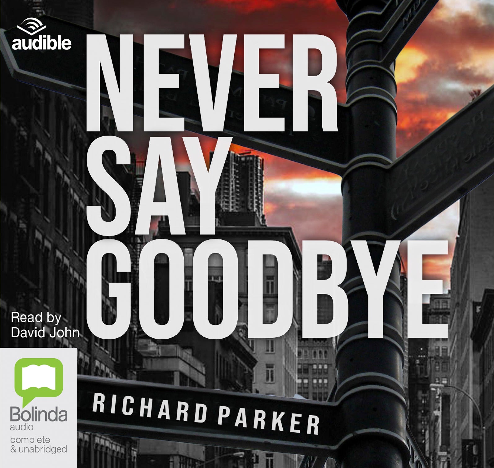 Never Say Goodbye - Unbridged Audio Book on CD