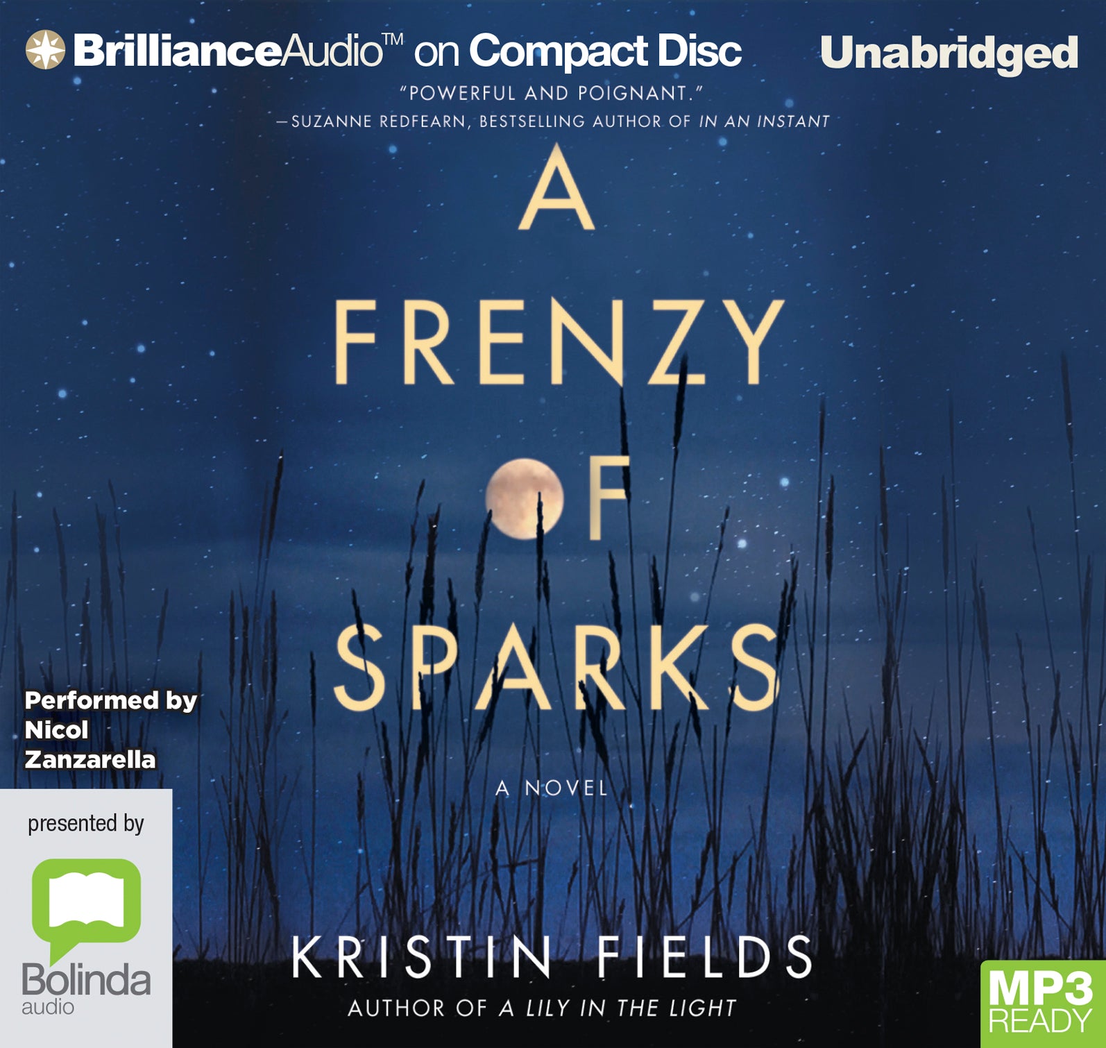 A Frenzy Of Sparks  - Unbridged Audio Book on MP3