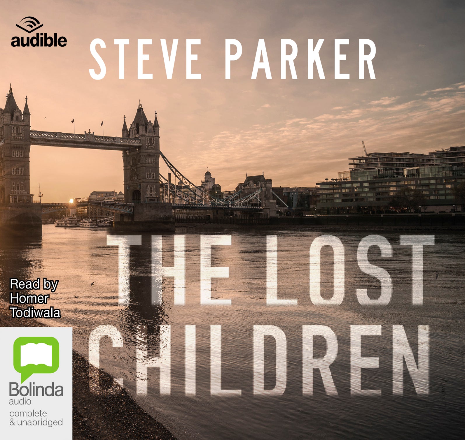 The Lost Children - Unbridged Audio Book on CD