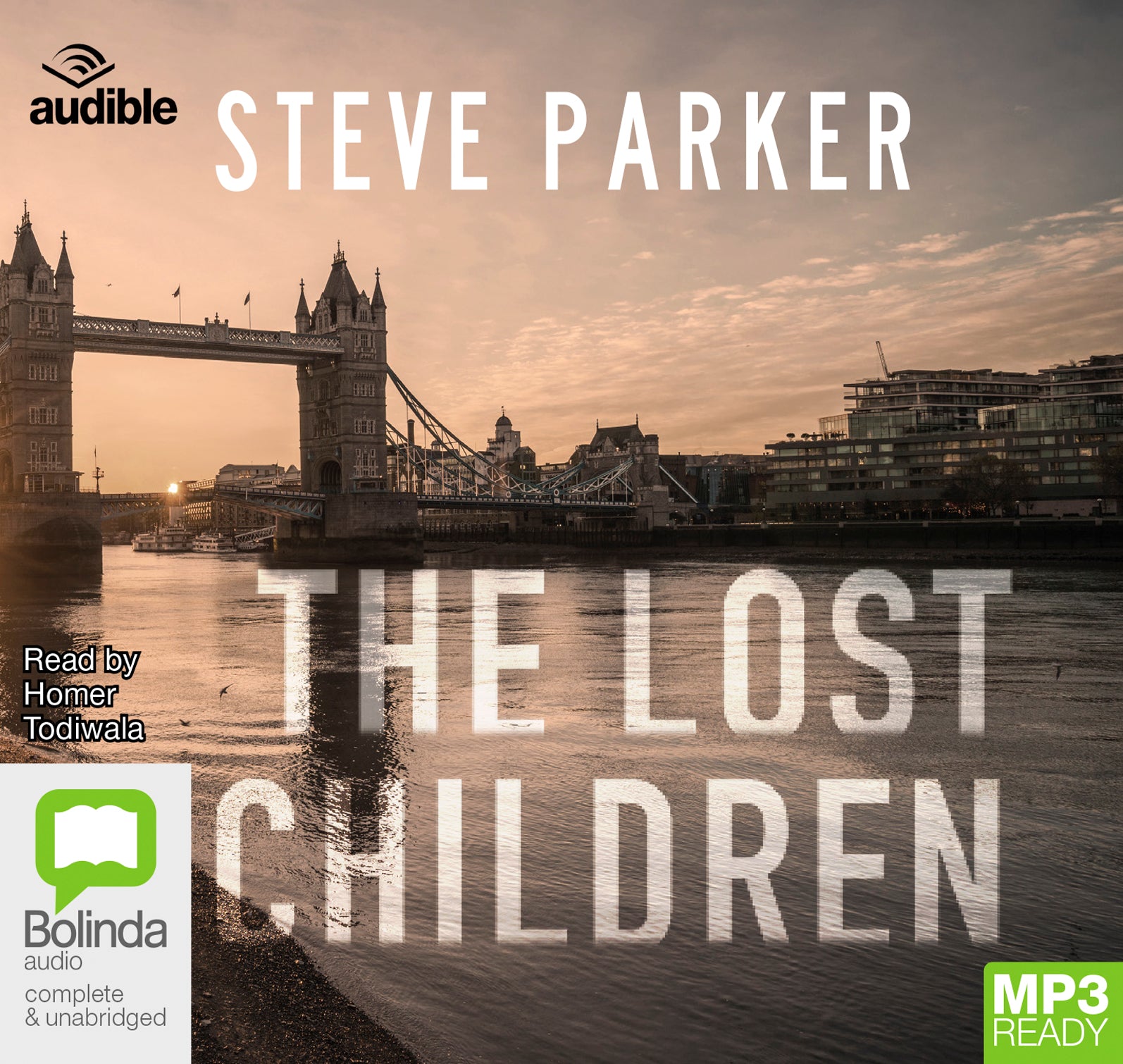 The Lost Children  - Unbridged Audio Book on MP3