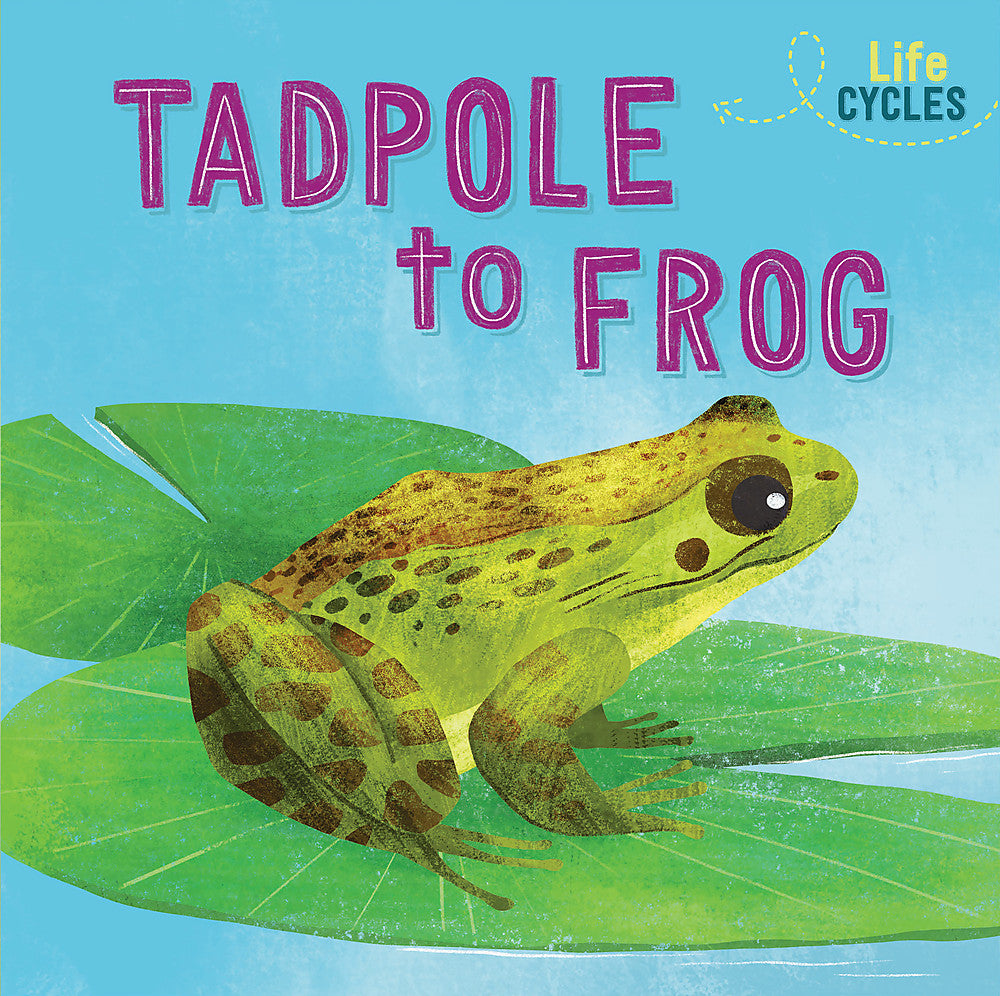 Life Cycles: From Tadpole to Frog