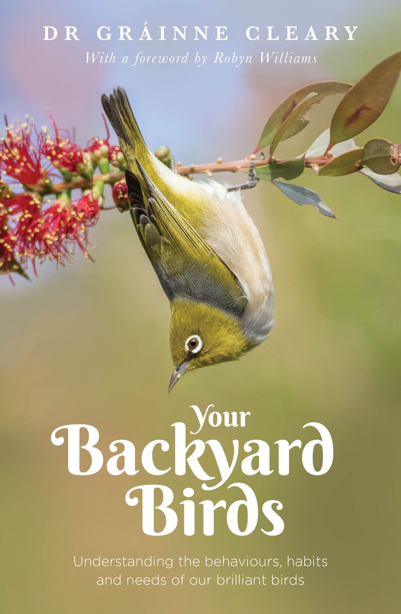 Your Backyard Birds