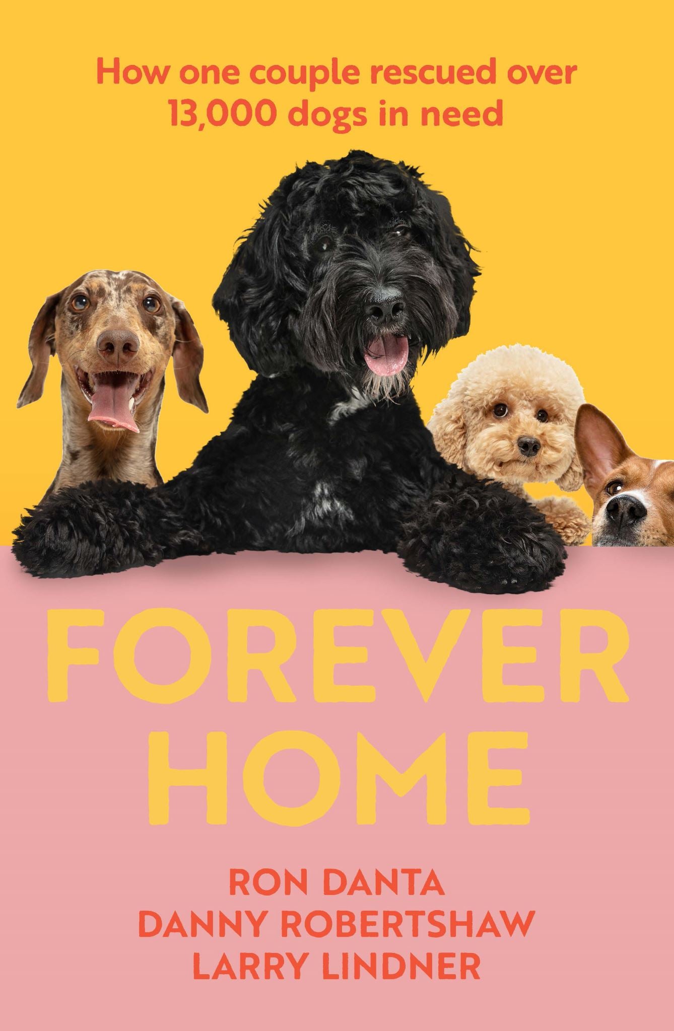 Forever Home