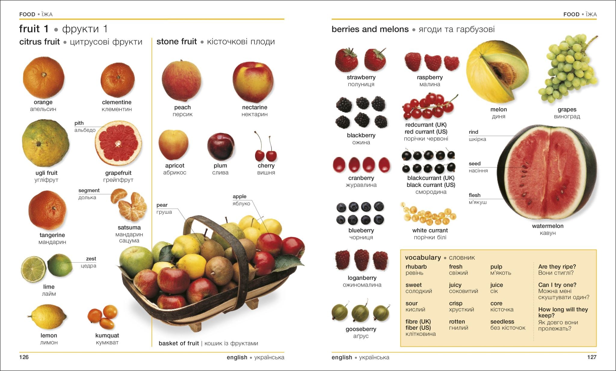 English Ukrainian Bilingual Visual Dictionary