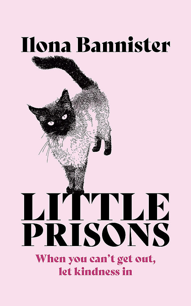 Little Prisons