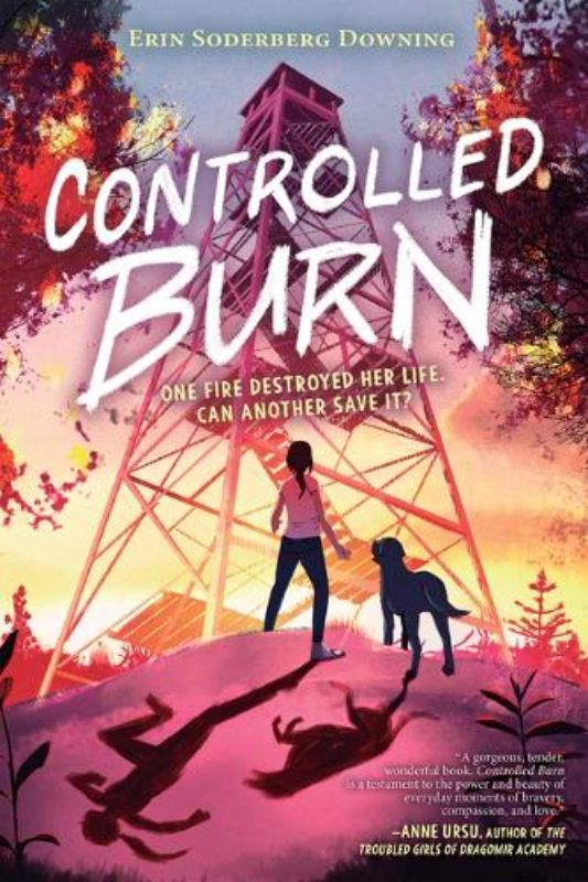 Controlled Burn
						    (Hardback)