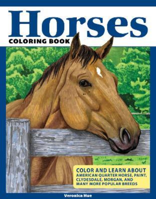 Horses Coloring Book